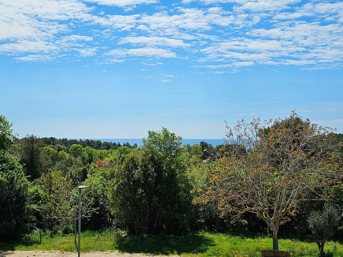 Apartments & Rooms Gaspar Rovinj Exterior foto